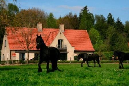 B&B Heerlijkhyd Hertsberge Exterior photo